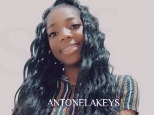 ANTONELAKEYS