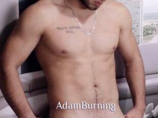 AdamBurning