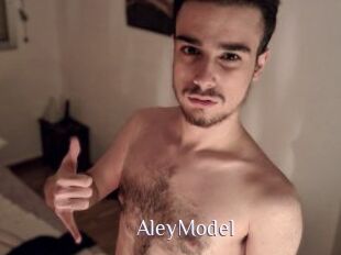 AleyModel