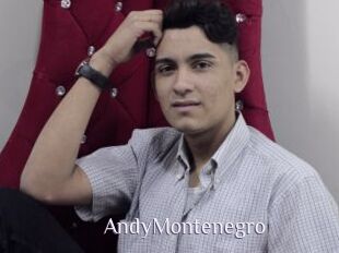 AndyMontenegro