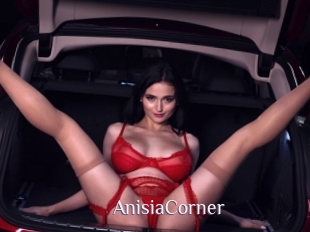 AnisiaCorner