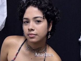 Anashus