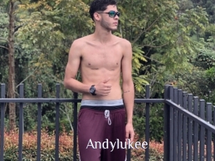 Andylukee