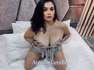 Antonelamiller