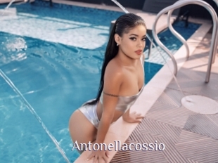 Antonellacossio