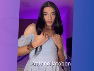 Antonellatobon