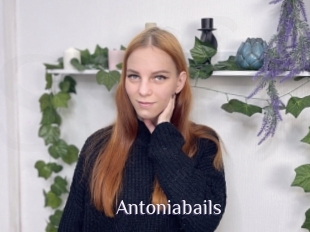 Antoniabails