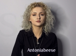 Antoniabeese