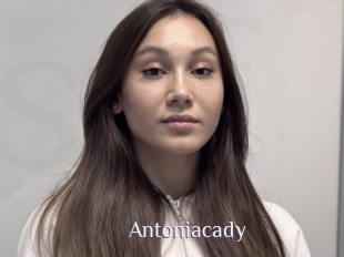 Antoniacady