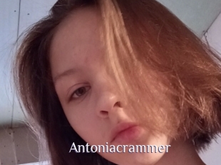 Antoniacrammer