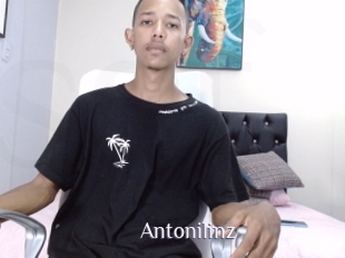 Antonilinz