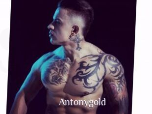 Antonygold