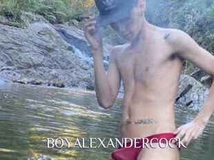 BOYALEXANDERCOCK