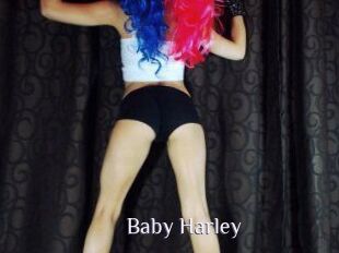 Baby_Harley