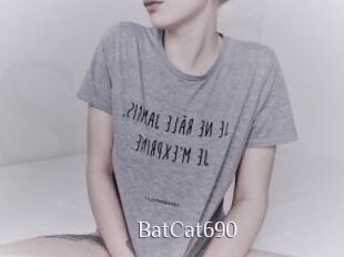 BatCat690