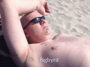 Bigbyrd