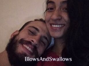 BlowsAndSwallows