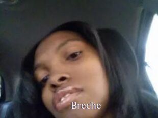 Breche