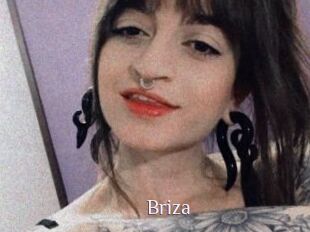 Briza