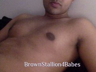 BrownStallion4Babes