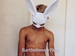 Bartholomew19cm