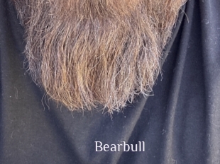 Bearbull