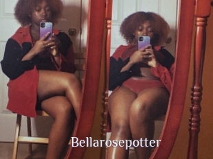 Bellarosepotter