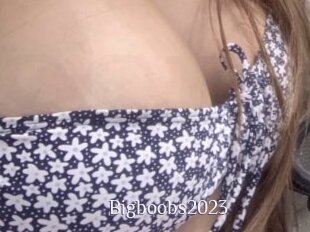 Bigboobs2023