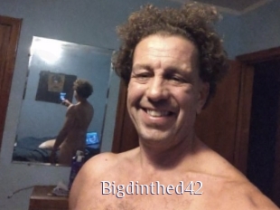 Bigdinthed42