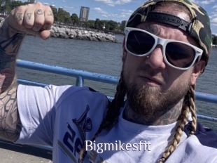 Bigmikesfit