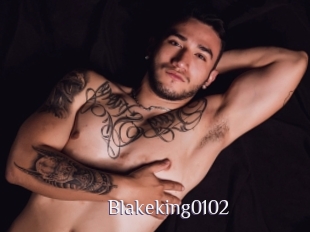 Blakeking0102