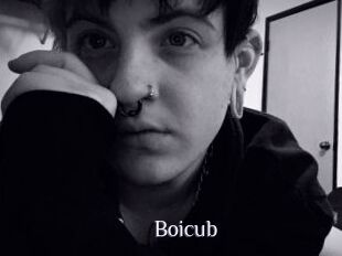 Boicub