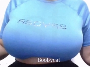 Boobycat