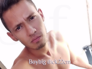 Boybig_dick22cm