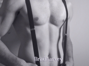 Bradharvey