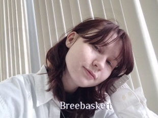 Breebaskett