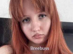 Breebuss