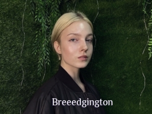 Breeedgington