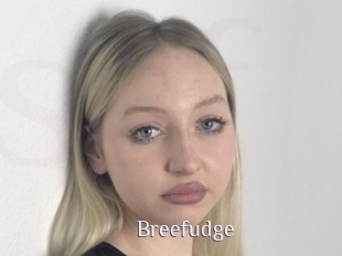 Breefudge