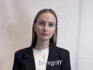 Breegriff