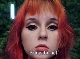 Bridgetarnet