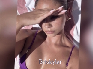 Briskylar