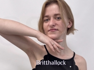 Britthallock