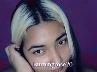 Burningrose20