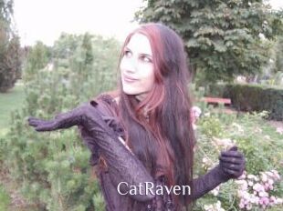 CatRaven