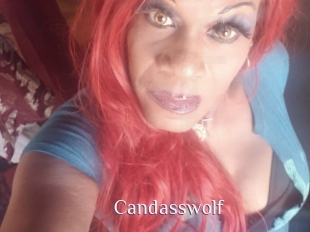 Candasswolf