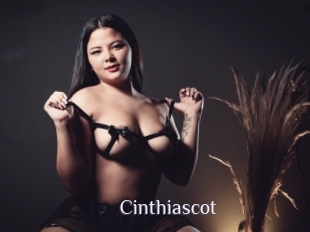 Cinthiascot