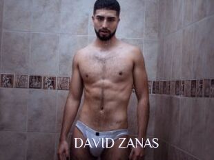 DAVID_ZANAS