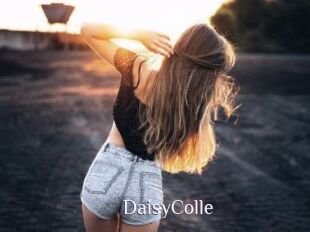 DaisyColle