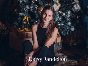 DaisyDandelion